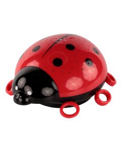 Starlight Ladybird